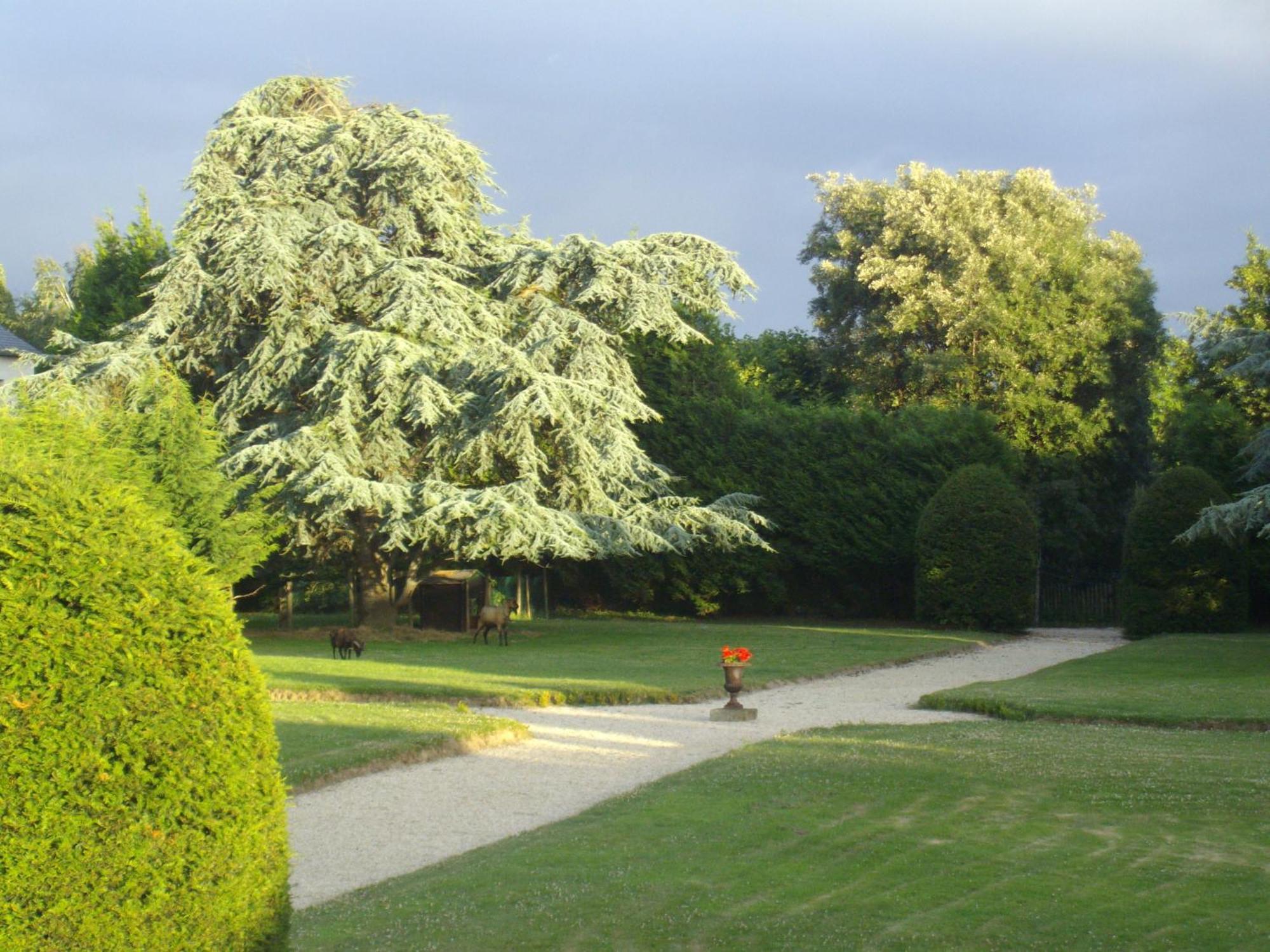 Manoir De La Baronnie Bed & Breakfast แซ็งต์มาโล ภายนอก รูปภาพ
